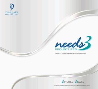 DS Needs 3 Project 276 Brochure 1