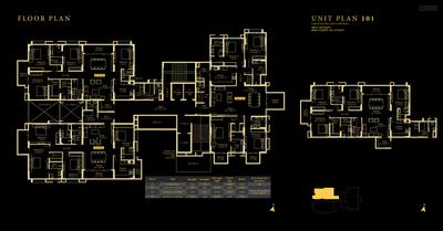 Darpan 88 Phase I Brochure 37