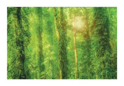 Ireo Five River Brochure 2