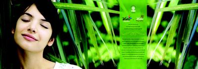 Vedic Highlines Brochure 2