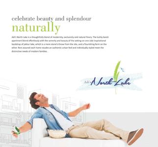 ADI North Lake Brochure 2