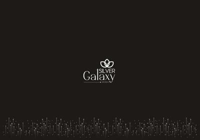 Silver Galaxy Brochure 1