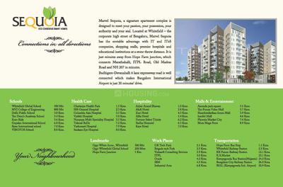 Marvel Sequoia Brochure 18