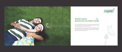 Tulip Elegance Brochure 2