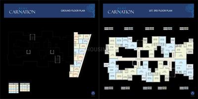 Blue Carnation Brochure 3