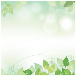 Splendid Lake Breez Brochure 25