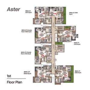 Coevolve Florenza Brochure 22