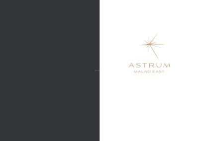 Dynamix Astrum Brochure 3