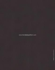 Trendset Jayabheri Elevate Brochure 33