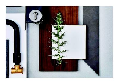 KOA Canvas Brochure 20