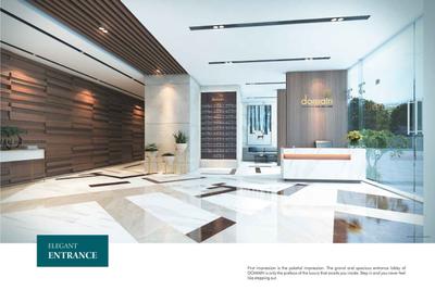Domain Brochure 6