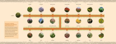 Vertex By the Lake Brochure 8