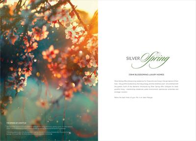 Silver Spring Brochure 2