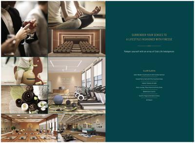 Shreeji Divine Brochure 15