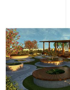 D And C Dynasty Brochure 15