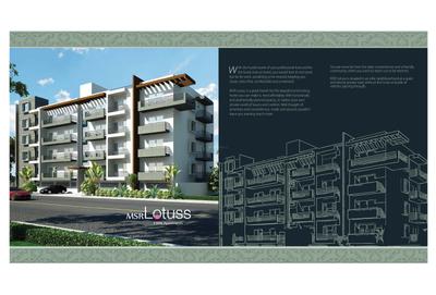 MSR Lotuss Brochure 2