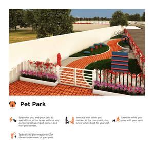 White County Brochure 43