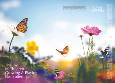 Cynosure Sunny Groves Brochure 13