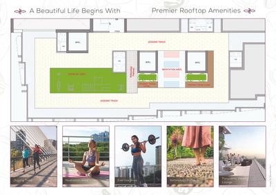 Sayba Orchid Brochure 6