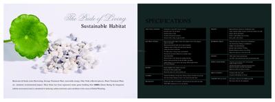 Silver Stone Brochure 9