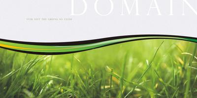 Popular Domain Brochure 3