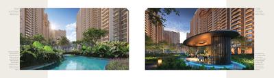 Ivory County Phase 1 Brochure 10