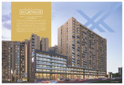 Basil Maximus Brochure 3