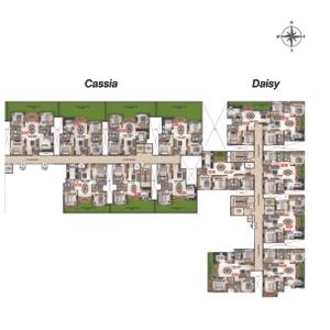 Coevolve Florenza Brochure 19