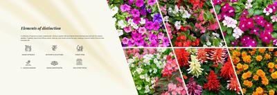 Godrej Elaris Brochure 17