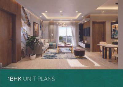 Embassy Verde Brochure 23