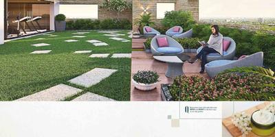 Blu Quince Brochure 13