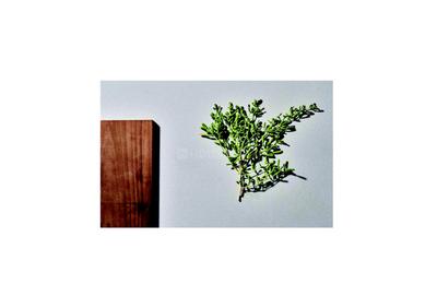 KOA Canvas Brochure 24
