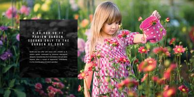 Sheth Avalon Brochure 16