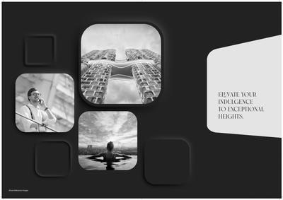 Shalimar One World Pinnacle Brochure 30