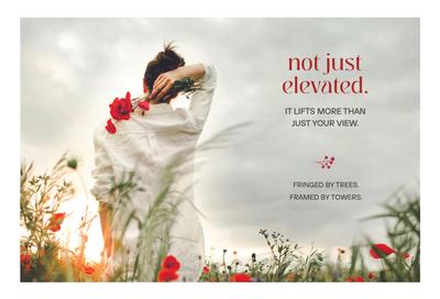 DTC Still Waters Brochure 19