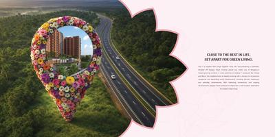 Coevolve Florenza Brochure 4