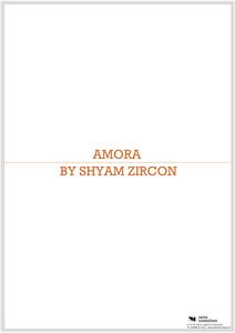 Shubhang Shyam Zircon Amora Brochure 1