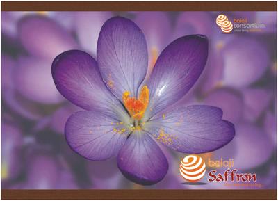 Image of 795 Sq.ft 2 BHK Apartment / Flat for sale in Balaji Saffron, Sarsuna, Kolkata for Rs. 4900000