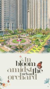 Grand Begonia Brochure 14