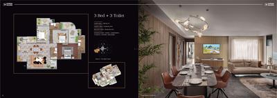 Express Zenith Brochure 17