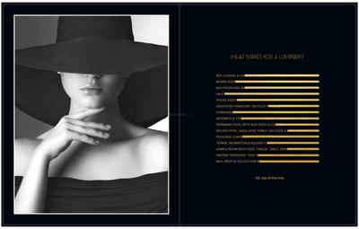 PS Aurus Brochure 24