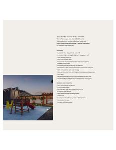 Vision Harmony Brochure 7