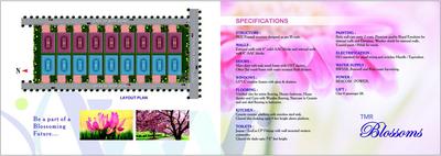 TMR Blossoms Brochure 6