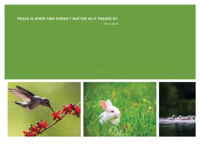 Purva Symphony Brochure 12