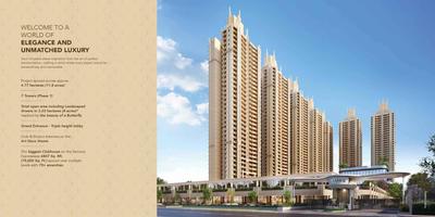 Gaurs Chrysalis Brochure 19