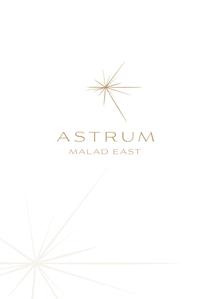 Dynamix Astrum Brochure 1