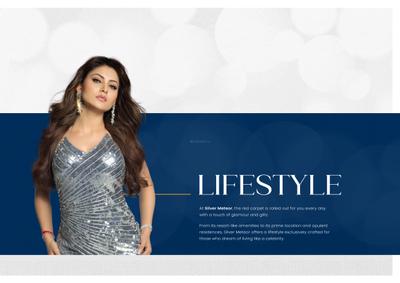 Silver Meteor Brochure 8