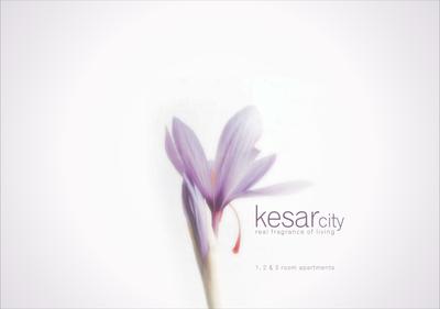Image of 700 Sq.ft 1 BHK Apartment / Flat for sale in Aroma Kesar City, Changodar, Ahmedabad for Rs. 1000000