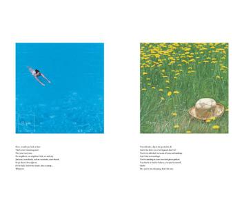 Cosmos Sun Glory Brochure 5