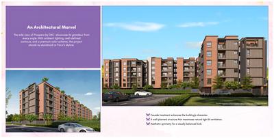 DAC Prospera Brochure 8